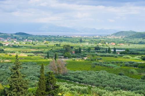 Zakynthos grüne Landschaft