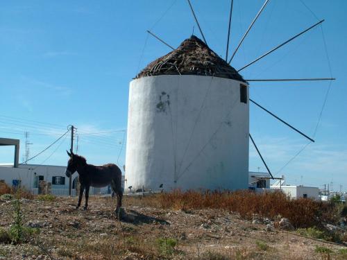 Antiparos Windmühle