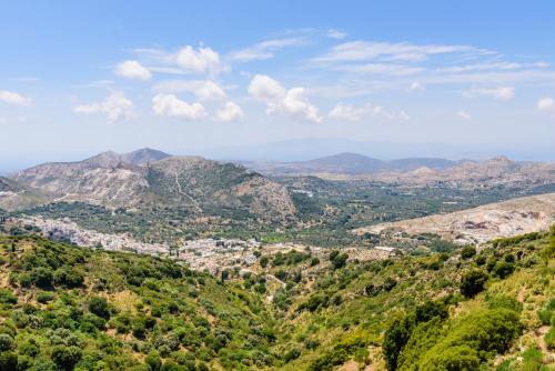 Naxos grüne Landschaft
