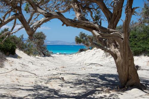 Kreta Chrisi Golden Beach